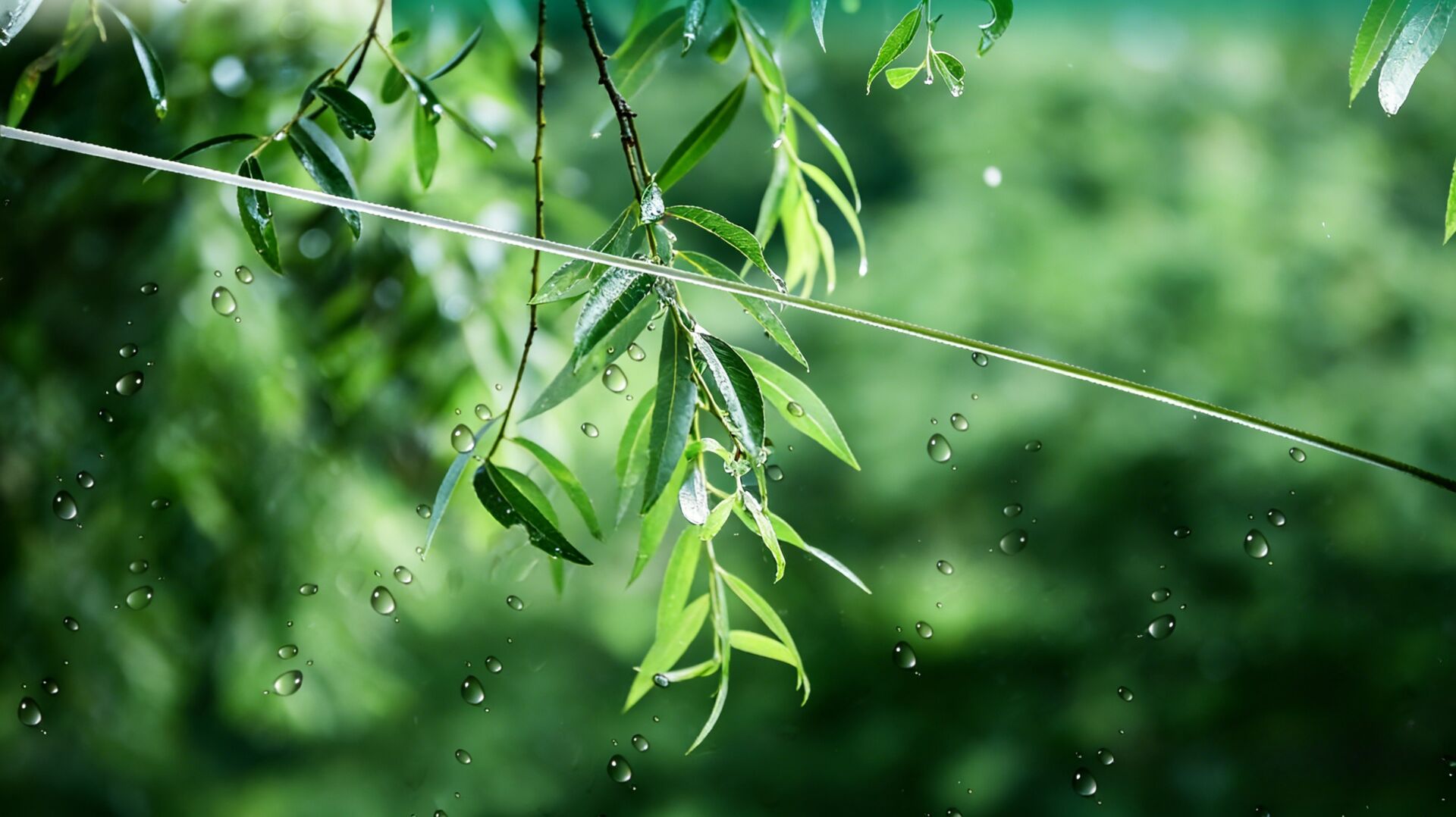 憎水玻璃