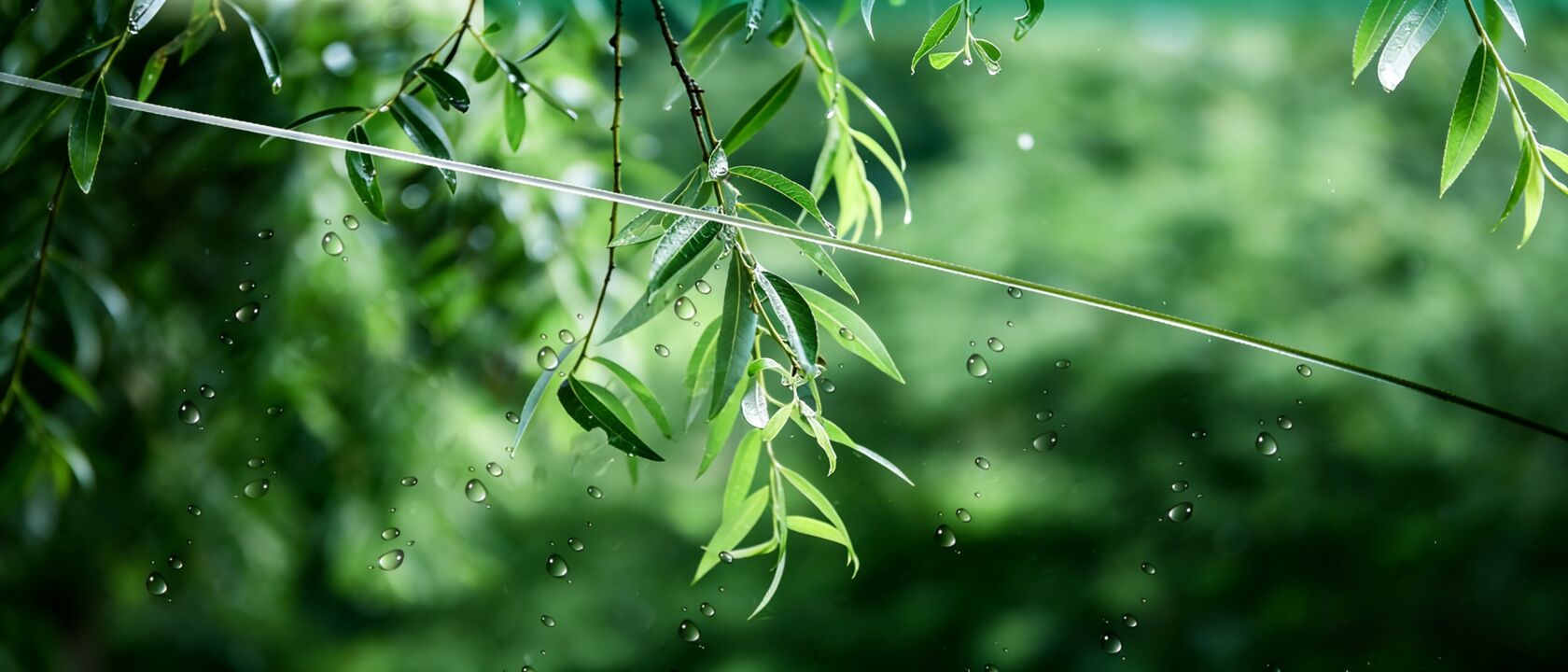 憎水玻璃